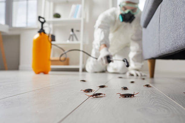 Commercial Kitchen Cockroach Control in Califon